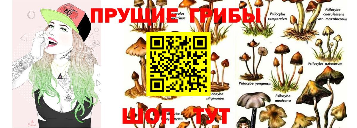 Псилоцибиновые грибы Magic Shrooms  Вход с VPN  Батайск 